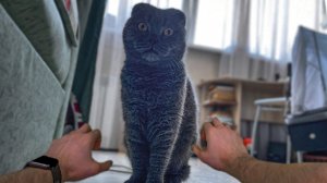 ОДИН ДЕНЬ ОТ ПЕРВОГО ЛИЦА ЧЕЛОВЕКА РОСТОМ 150 СМ (pov)