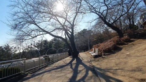 КАК ВЫГЛЯДИТ КОРЕЙСКИЙ ЗООПАРК.ЮЖНАЯ КОРЕЯ #корея#진주#выходныевкорее