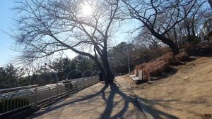 КАК ВЫГЛЯДИТ КОРЕЙСКИЙ ЗООПАРК.ЮЖНАЯ КОРЕЯ #корея#진주#выходныевкорее