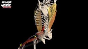 КАК НЕ СТОИТ КАЧАТЬ ПРЕСС. ОСНОВНЫЕ ОШИБКИ, КОТОРЫЕ ДОПУСКАЮТ ВСЕ (ЭТО ВИДЕО СЭКОНОМИТЬ ВАШЕ ВРЕМЯ)