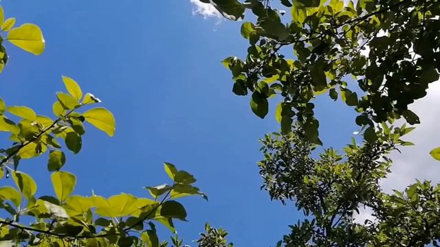 Утренняя медитация "Счастье внутри Вас"