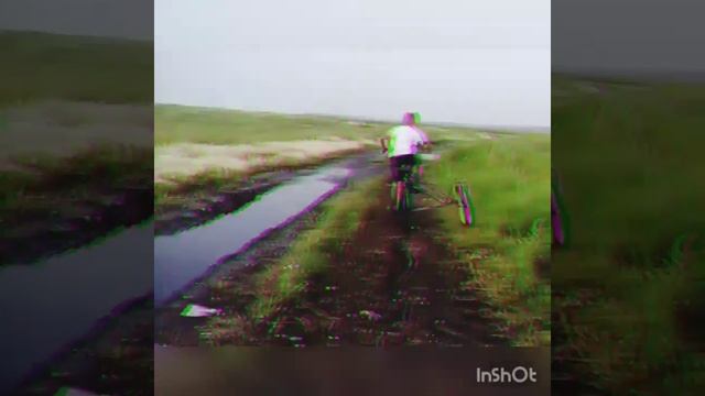 САМОЕ ДИКОЕ БЕЗДОРОЖЬЕ НА ВЕЛОСИПЕДЕ С КОЛЯСКОЙ #3