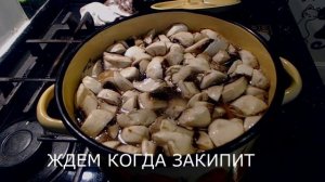 ПРОСТОЙ ГРИБНОЙ СУП БЕЗ ЗАЖАРКИ / SIMPLE MUSHROOMS SOUP WITHOUT FRYING
