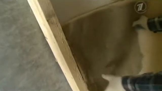 Фазенда. Утепление стен и крыши Экотеплином смотреть онлайн