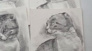 Сравниваю гуашь | Малевичъ , Гамма Старый мастер, Невская палитра Мастер класс