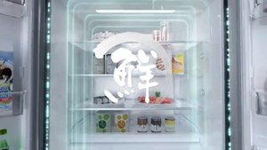 Холодильники Toshiba