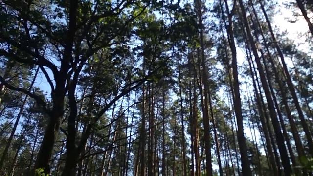 Александр Блок Рассвет смотреть онлайн