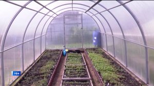 Опытные садоводы из Башкирии рассказали, как сберечь растения в аномально холодные майские дни