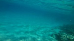 Ныряние возле пирса отеля Хилтон Хургада Лонг Бич /// Diving at the Hilton Hurghada Long Beach Pie