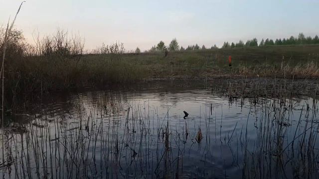 Ловля карася весной. смотреть онлайн