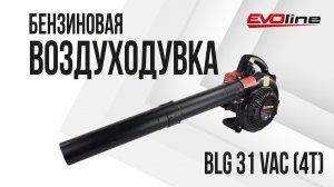 Садовая воздуходувка / Садовый пылесос EVOline BLG 31 VAC (4T)