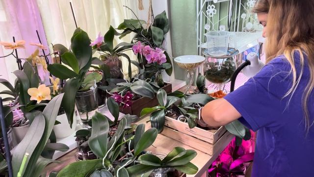 Бедные мои детки три недели без полива ??