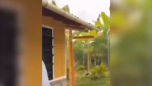 funny try not to laugh impossible memes (Mr. Memes)