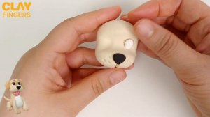 Modeling a Playful Yellow Labrador: Easy Clay Modeling Tutorial!