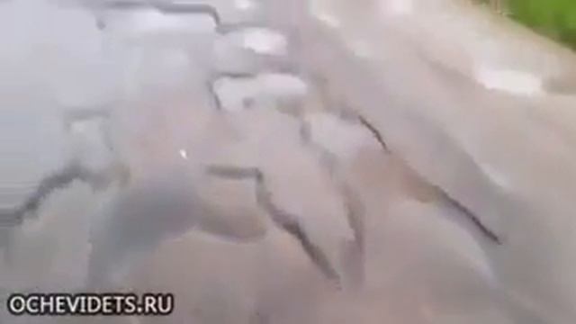 Дороги в России — Московская область vs Тверская смотреть онлайн