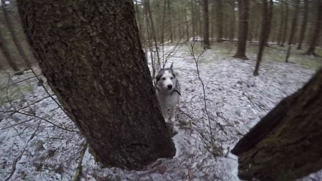 Как ребёнку легко сделать односкатный шалаш. Часть 1. смотреть онлайн