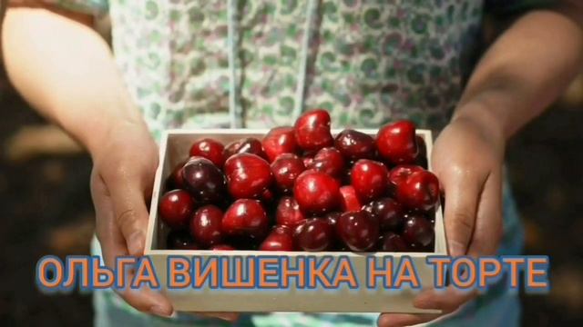 ПИРАТКА РЕАЛЬНО МОТАЛА СРОК? ПИРАТСКАЯ ЖИЗНЬ.