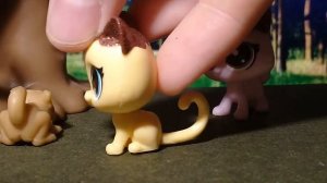 LPS: КОТЫ ВОИТЕЛИ (1)