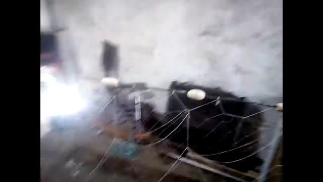 сажаем китовую сетку смотреть онлайн