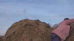 Отчим взял падчерицу за руку и повел в старый сарай – ОН еще не знал, какой СЮРПРИЗ она подготовила