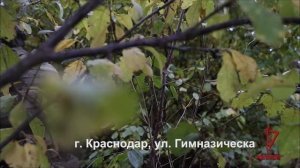 Россгвардия