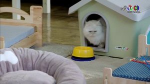 Игра в любовь 1 сезон 6 серия