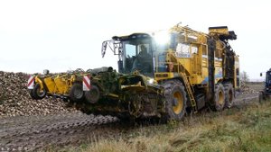 ROPA TIGER 6s - 15-ти метровый свеклоуборочный комбайн в деле