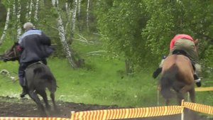 Во хмелю слегка лесом правил я --t.mp4