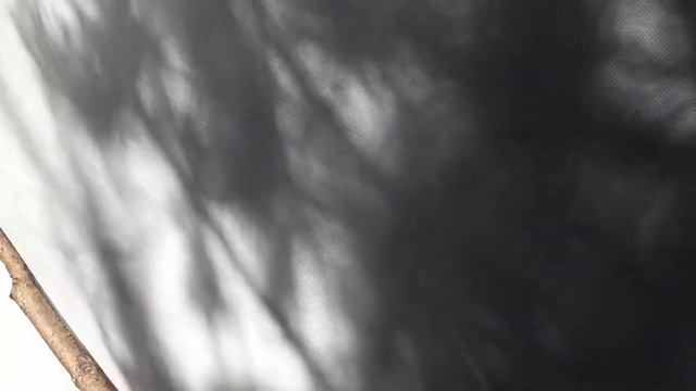 Карелия оз. Пя 2018 июль смотреть онлайн