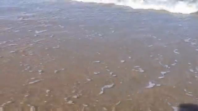 Playas de Mar del Plata, Argentina смотреть онлайн