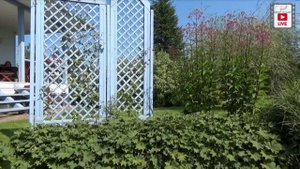Ландшафтный дизайн. В гостях у Светланы Желиба