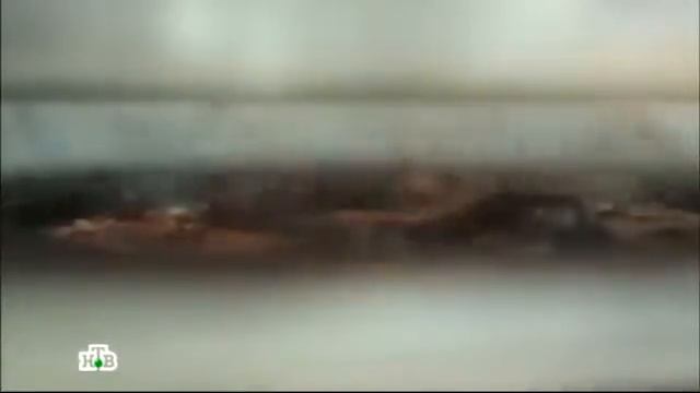 Вся правда о натяжных потолках смотреть онлайн