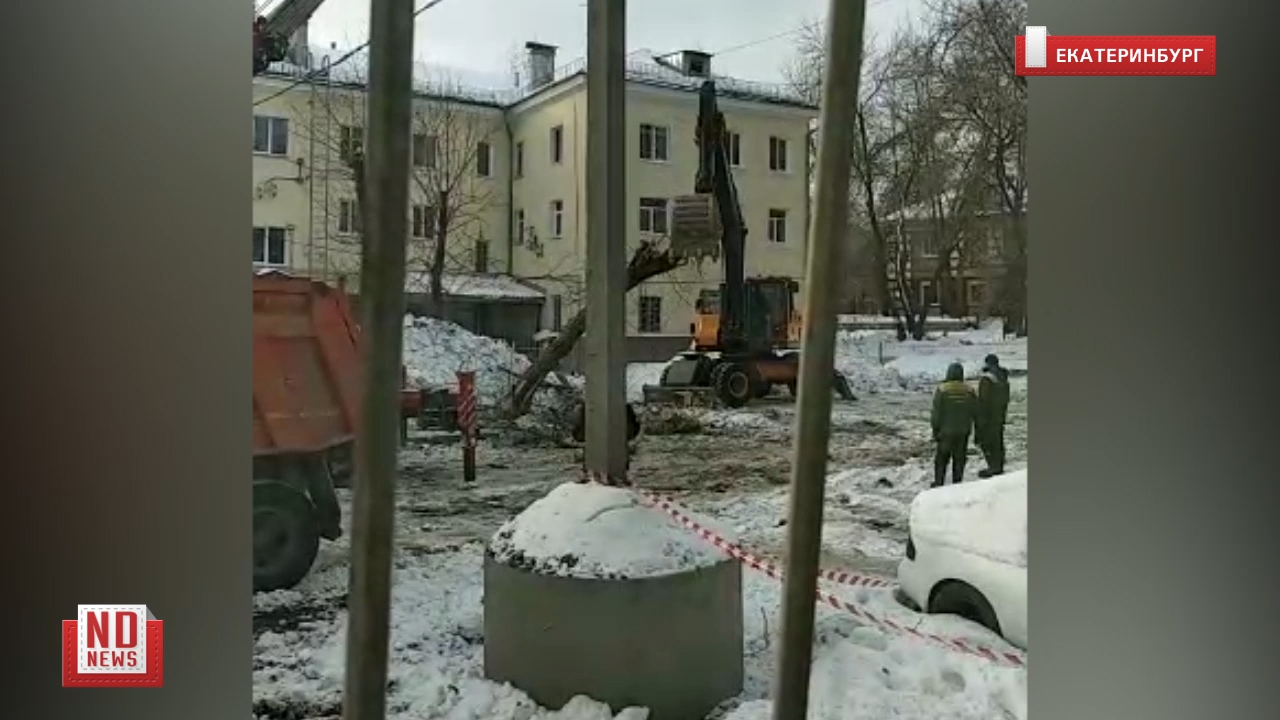 Экскаватор ломает дерево во дворе жилого дома. No comment