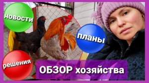 "В гостях" у ГОДУНОВСКОГО БРОЙЛЕРА). Всё о нашем хозяйстве. Осень 2020г. Бройлеры, несушки, индейка.