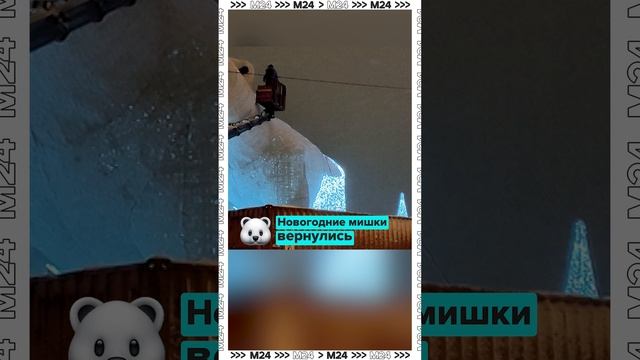 На проспект Мира снова вернулись праздничные мишки - Москва 24