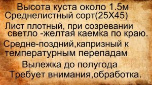 Герцеговина флор Краткий обзор.mp4