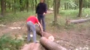 заготовка древесины в лесу