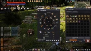 Black Desert БДО Огород. Для чего нужны Мистические семена и чем они отличаются от Магических семян