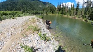 Лучшая рыбалка - горная рыбалка/Трофейный ленок и много хариуса/Пилим залом и жарим блины #4