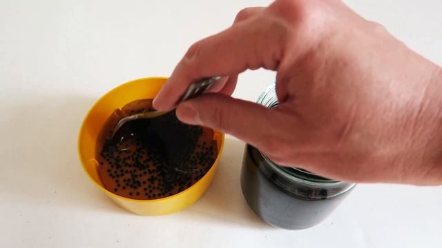 ЕМКОСТЬ ДЛЯ ПРОРАЩИВАНИЯ СВЕЖЕЙ ЗЕЛЕНИ! ? Декоративная экопочва! Проращиваем Свёклу крупнолистную! смотреть онлайн