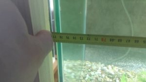 Мальки, отсадник, размеры аквариума и где взять яйца артемии..?