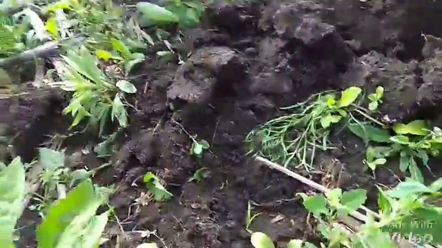 Коп на поле.часть1 смотреть онлайн