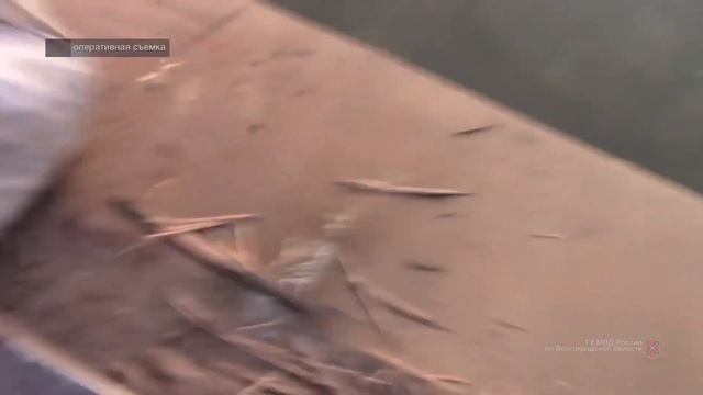 Полицейские изъяли 230 килограммов живых раков у жителя Старополтавского района смотреть онлайн