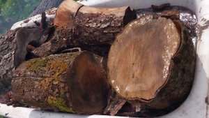 Подготовка коры для мульчирования