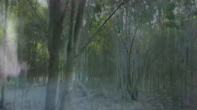 "Автовоспроизведение" Сон. Задание Монтаж. Мастерская Хотиненко, Финна, Фенченко. смотреть онлайн