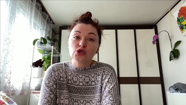 Аллергия у бультерьера/Как лечить? Что делать?/KOREA VLOG