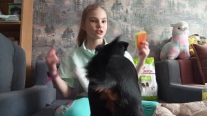 Что Нужно Для ПОЯВЛЕНИЯ ЩЕНКА в Доме? Вещи Первой Необходимости.