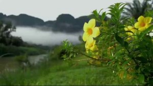 004-Жизнь в загробном мире.