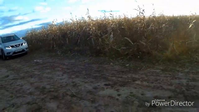 Ниссан x-trail передний привод по бездорожью смотреть онлайн