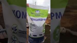 ЭКОКОРМ ДЛЯ БРОЙЛЕРА. СРАВНЕНИЕ С МЕГАКОРМОМ И ПУРИНОЙ.